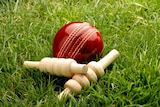 cricket ball on grass