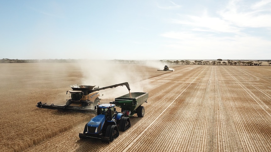 a drone shot shows a harvester in a golden field of wheat emptying grain into a chaser bin moving alongside it.