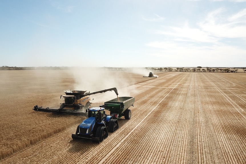 Tembakan drone menunjukkan pemanen ladang gandum memindahkan biji-bijian ke dalam pin piring.