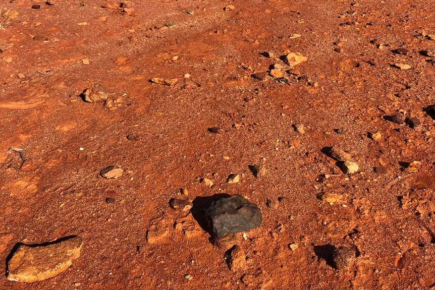A black rock on the ground on orange dirt. 