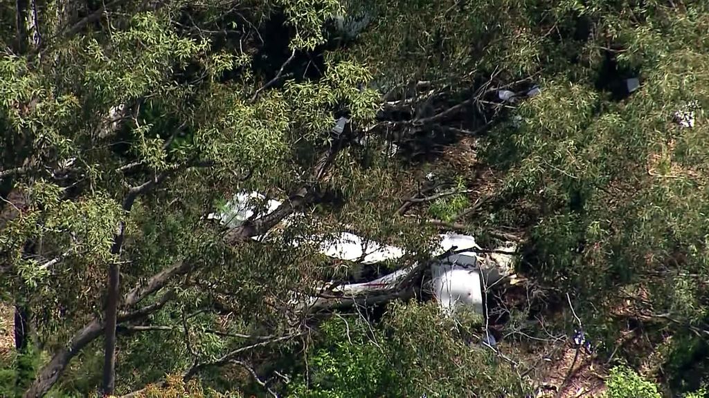 a41f3d42145014d4df09a3d4e180a45a?impolic