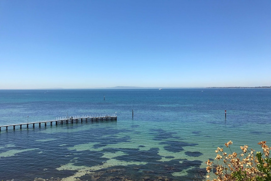 The crystal clear waters of Queenscliff, at the end of Victoria's Bellarine Peninsula.