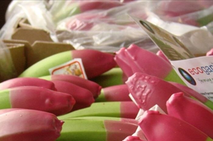 Bananas go pink for breast cancer research