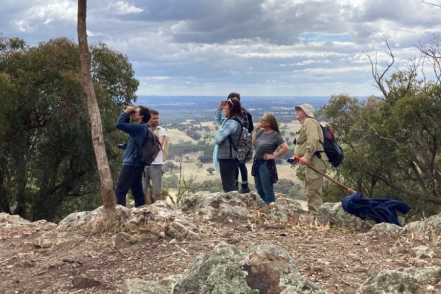 A group of volunteers searching for butterflies on top of a hill. 