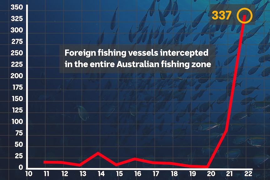 Графика, показваща, че 337 лодки са били заловени в австралийски води досега тази година.