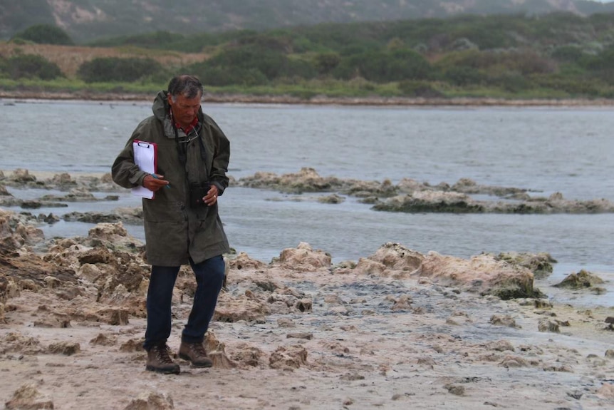 A man in a coat walks along the shoreline.