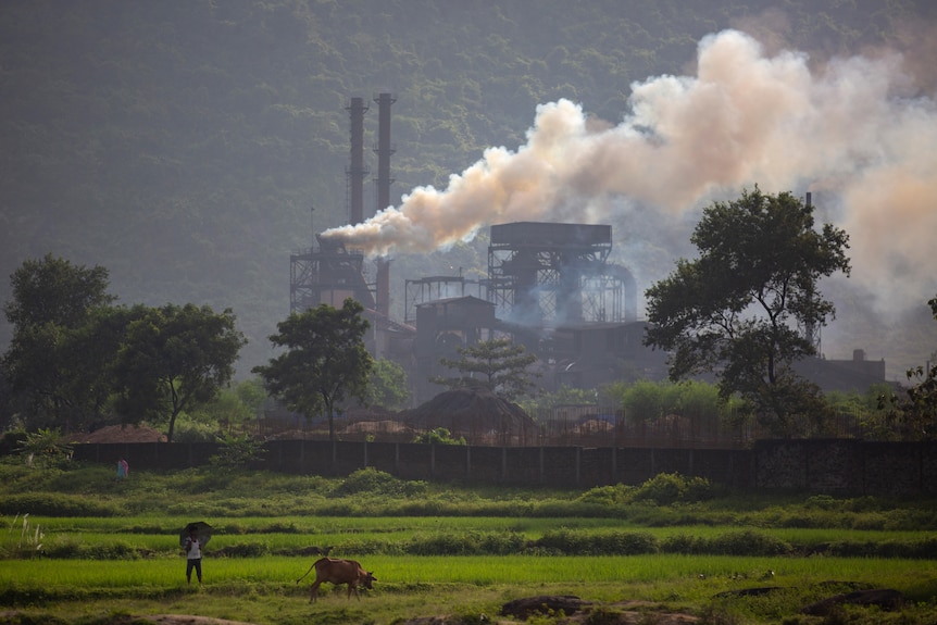 Thick white smoke rises from chimneys at a steel plant in the green countryside