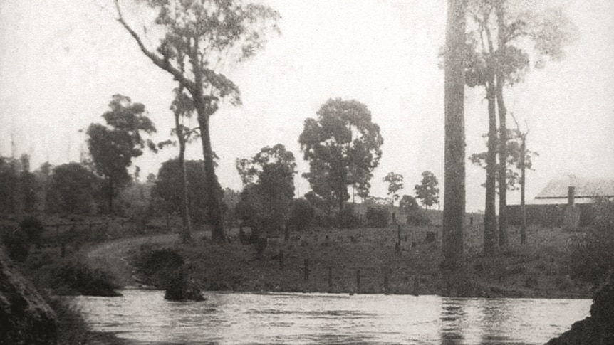 Horses Creek in flood