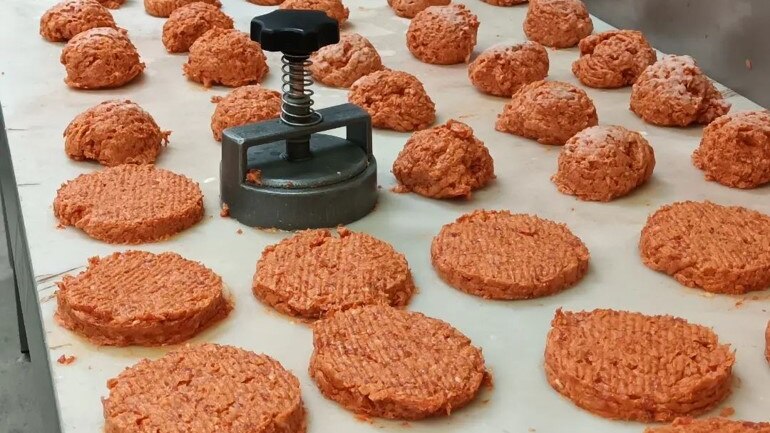 Boar burger patties lined up on a bench