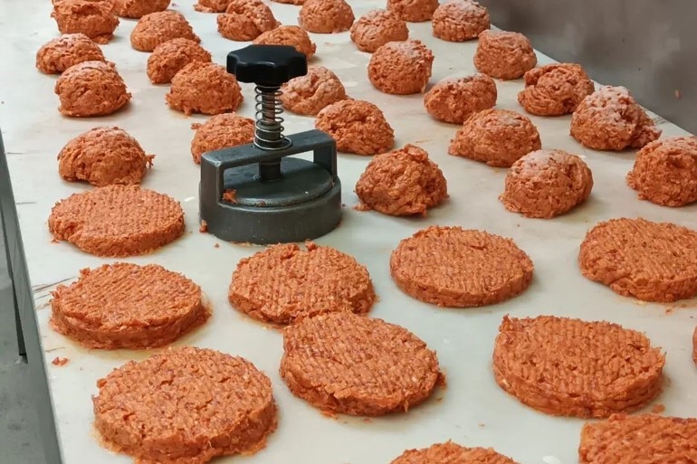 Boar burger patties lined up on a bench