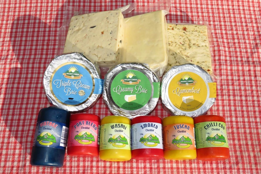 A range of Maleny Cheese including vintage cheddar, port blend cheddar, wasabi cheddar, brie and camembert