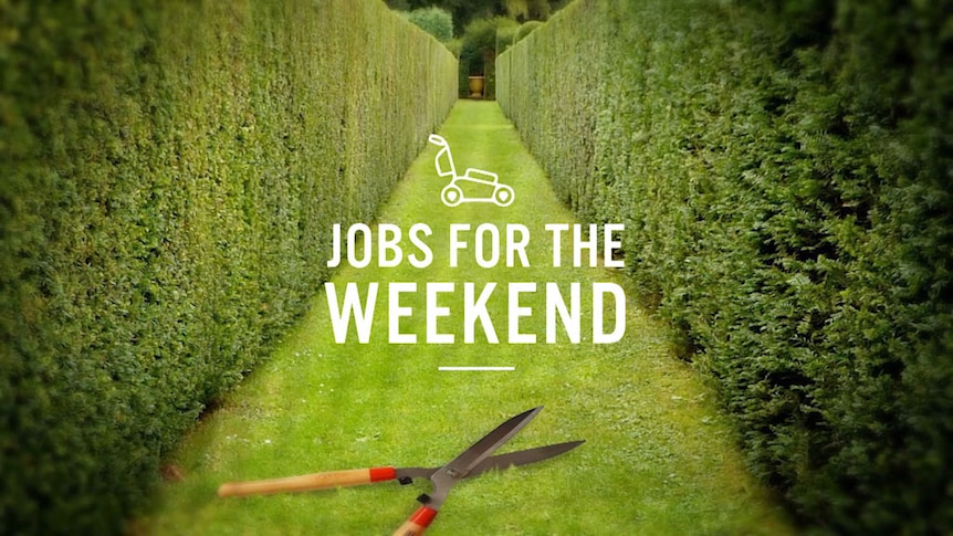 Hedges with text 'Jobs for the Weekend.'