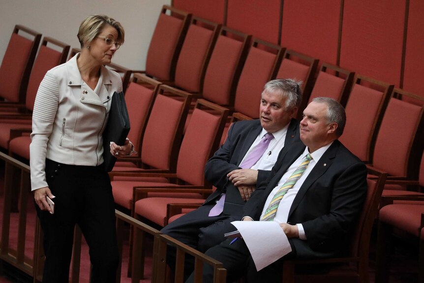 Kristina Keneally lands alongside Rex Patrick and Stirling Griff, who are sitting in Senate visitor chairs