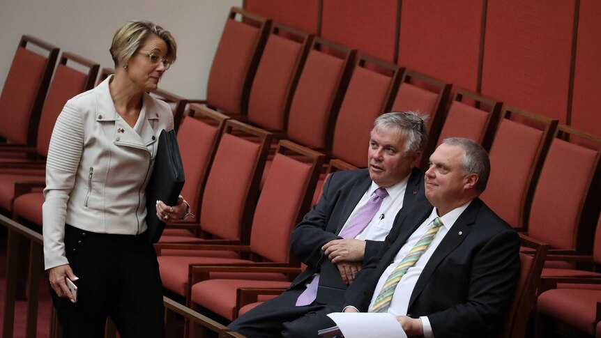 Kristina Keneally lands alongside Rex Patrick and Stirling Griff, who are sitting in Senate visitor chairs