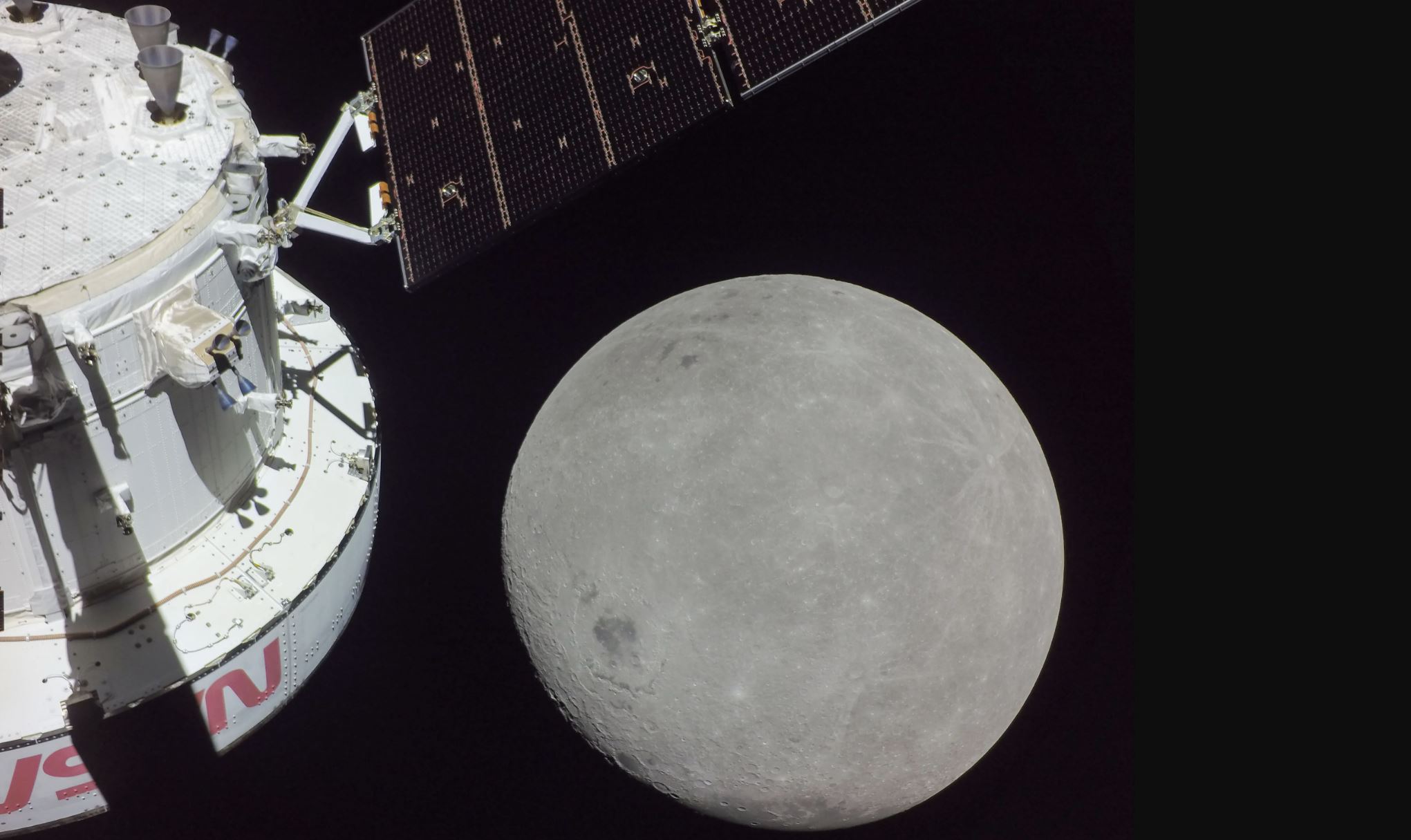 Nightlife Science with Sara Webb