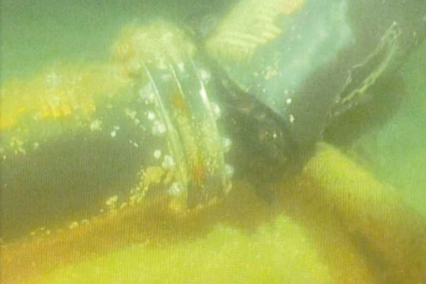 An underwater picture of a bent, broken industrial hose. 