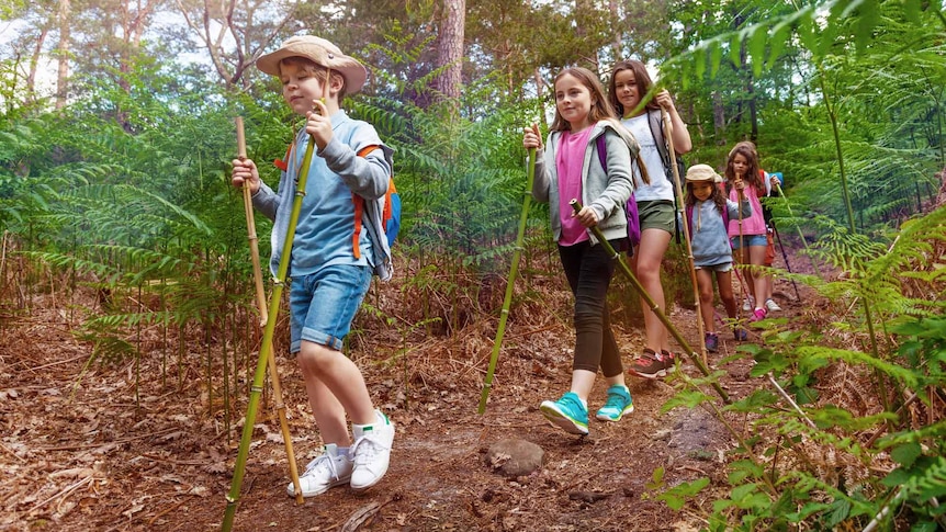 A group of six children are walking along a bush trail. Each child has a bamboo walking stick in each hand.