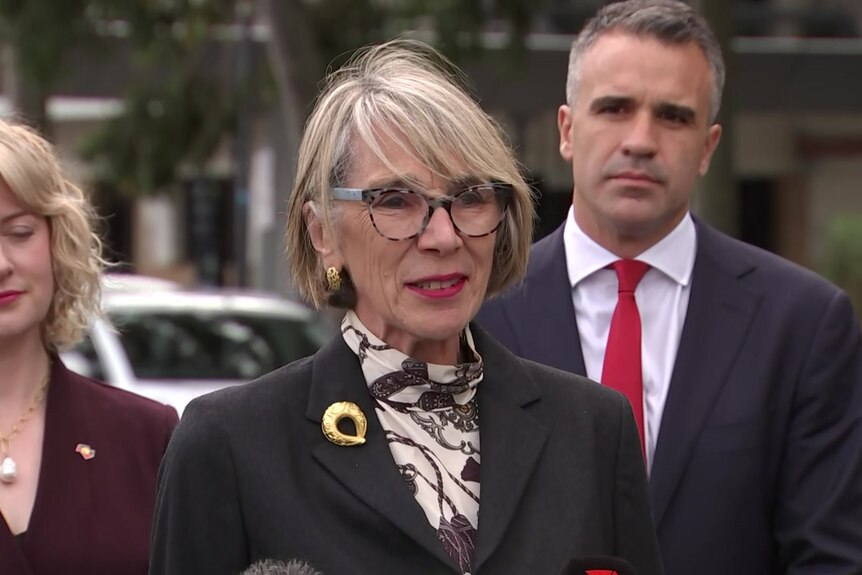 Jane Lomax-Smith speaking with Peter Malinauskas and Lucy Hood standing behind her 