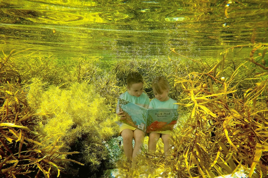 Two children reading a book underwater surrounded by seaweed.