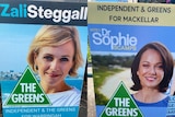 A composite image showing fake corflutes for Zali Steggall and Sophie Scamps with The Greens logo.