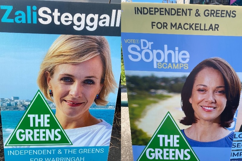 A composite image showing fake corflutes for Zali Steggall and Sophie Scamps with The Greens logo.