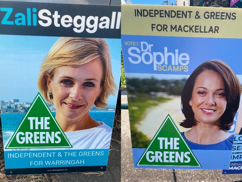 A composite image showing fake corflutes for Zali Steggall and Sophie Scamps with The Greens logo.