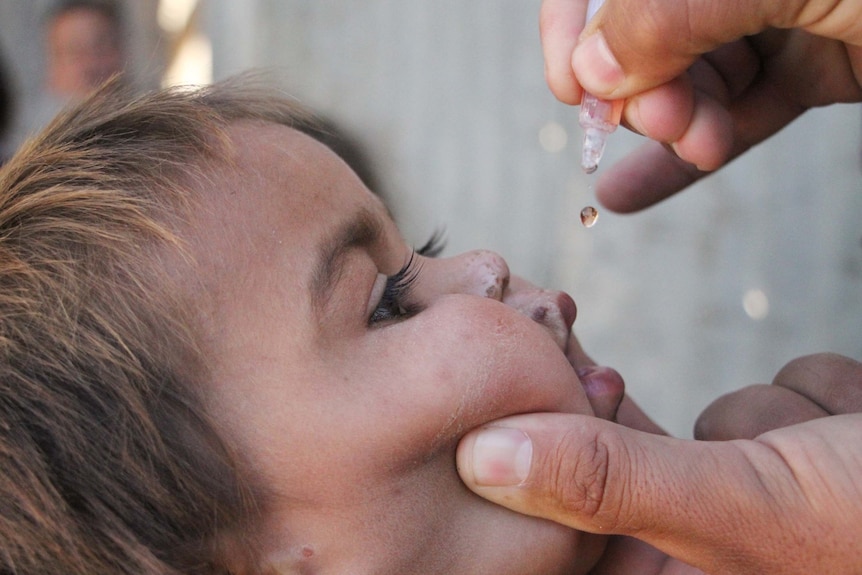 A drop from an oral polio vaccine about to go into a child's mouth.