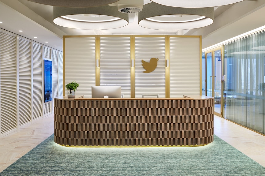 A brightly lit office reception, with brown wooden desk on a blue carpet and gold trim on walls with twitter logo.