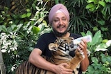 A Sydney businessman feeding a bottle of milk to a baby tiger