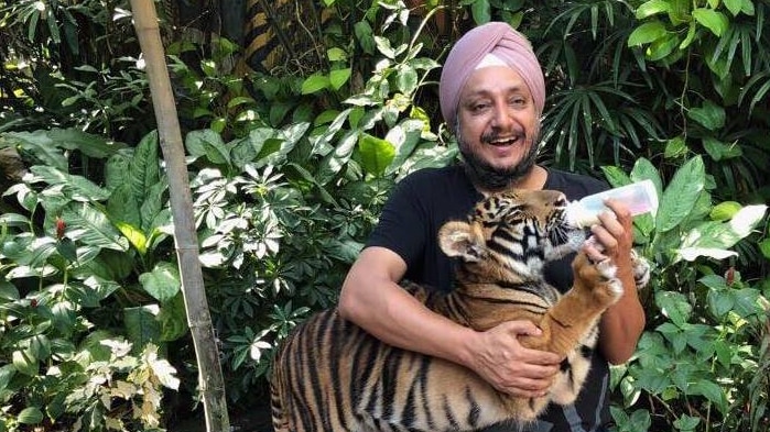 A Sydney businessman feeding a bottle of milk to a baby tiger