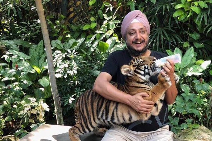 A Sydney businessman feeding a bottle of milk to a baby tiger