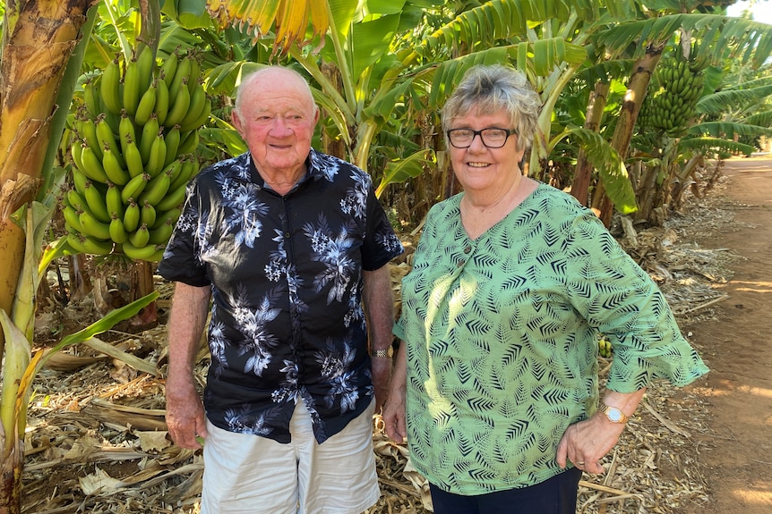 一个男人和一个女人站在香蕉树前