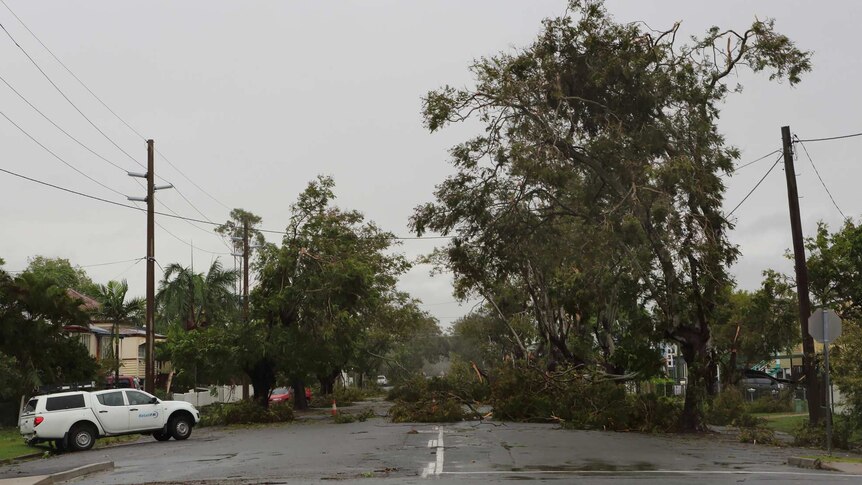fallen trees and power lines cover the street in Rockhampton