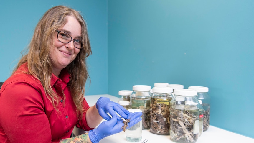 A woman in a red shirt and glasses holding up a small dead lizard 