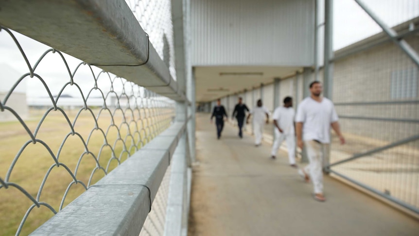 Unidentified prisoners being escorted inside a correctional centre