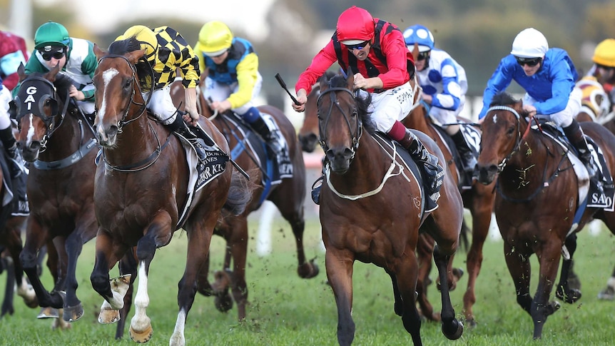 Hallowed Crown wins Golden Rose