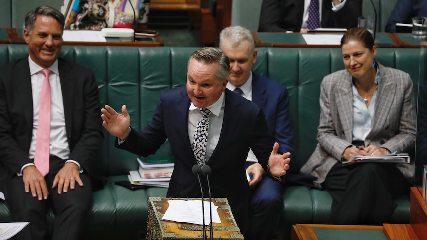 Bowen gestures with both arms outstretched from the dispatch box on the house floor.