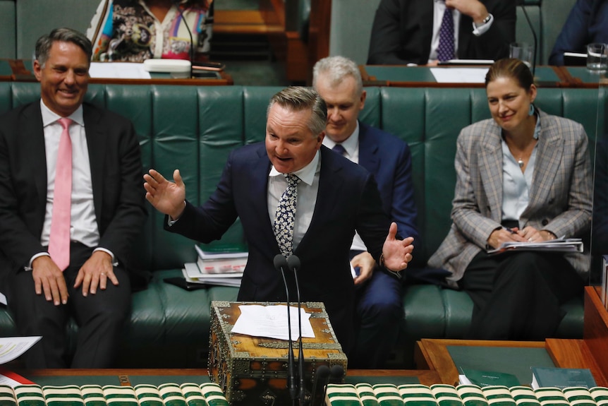 Bowen gestures with both arms outstretched from the dispatch box on the house floor.