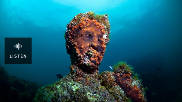 Roman statue encrusted with ocean organisms rests underwater. . Has Audio.