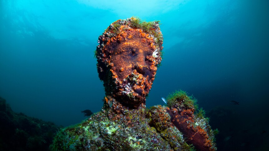 Roman statue encrusted with ocean organisms rests underwater. 