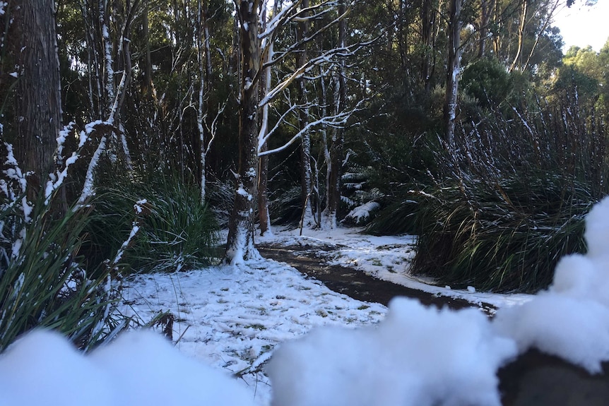 Snowfall in Collinsville, Tasmania.