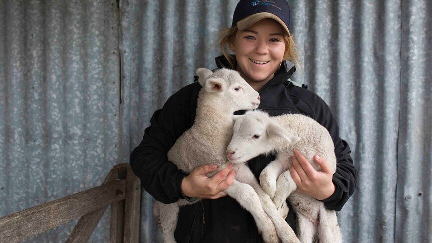 A girl holds two lambs.