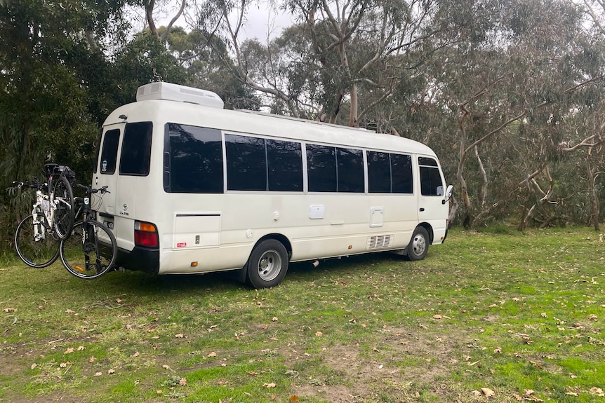 White bus windows with black windows