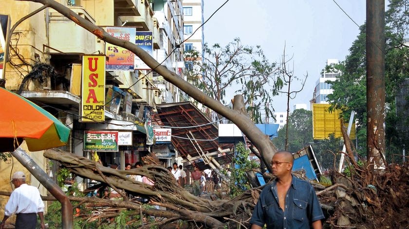 Uprooted trees block main thoroughfare