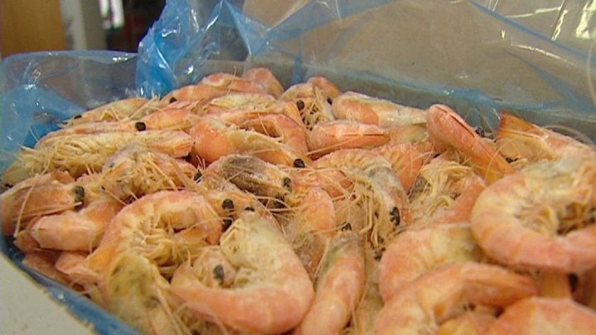 frozen prawns