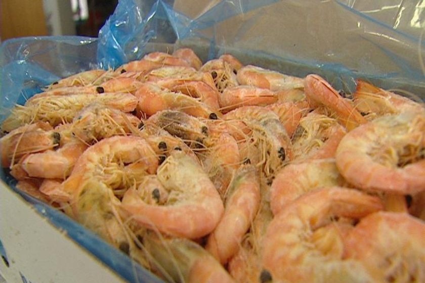 Thieves with load of frozen prawns evade police net