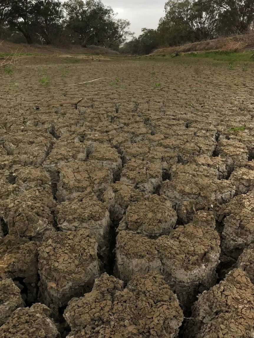 Large cracks in a dry river bed.