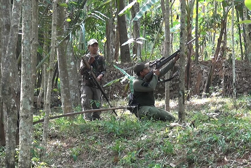 Local residents in army getup hunt the macaques with guns.