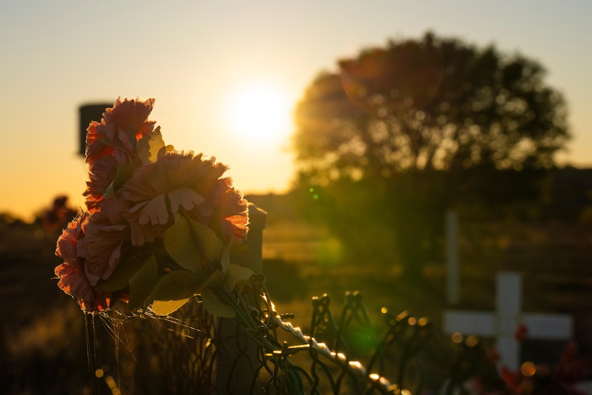 Close up of a bouquet of flowers with the sun setting in the background