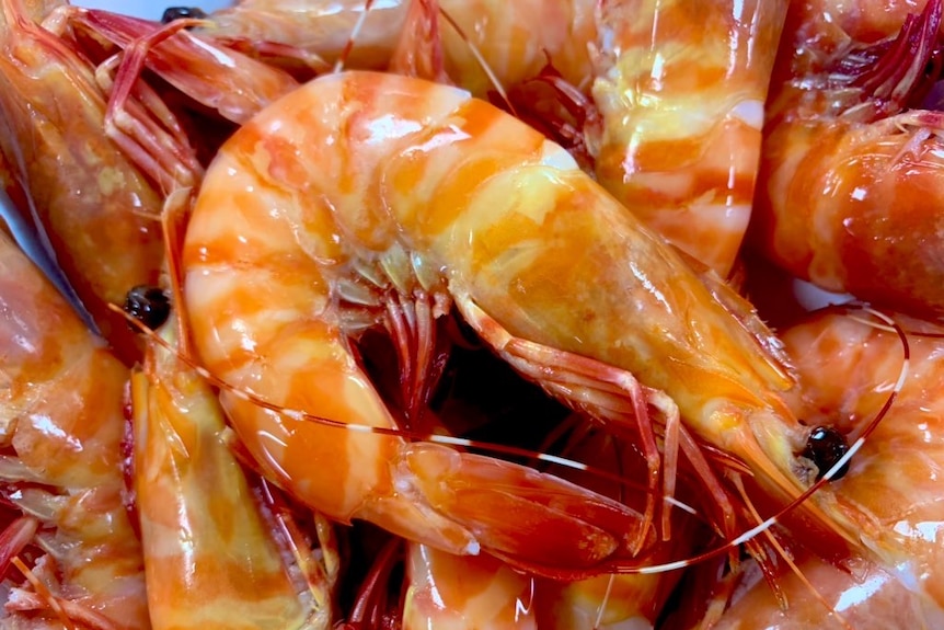 Fresh tiger prawns piled on top of each other.